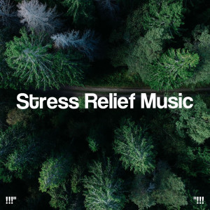 Album "!!! Stress Relief Music !!!" oleh Nature Sounds Nature Music