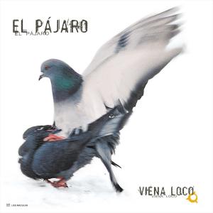收聽Viena Loco的Pajaro (Radio Edit)歌詞歌曲