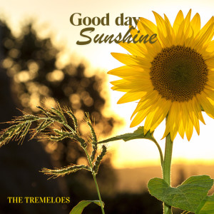 The Tremeloes的專輯Good Day Sunshine