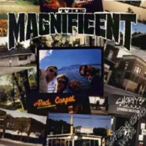 Listen to Back In Town song with lyrics from The Magnificent