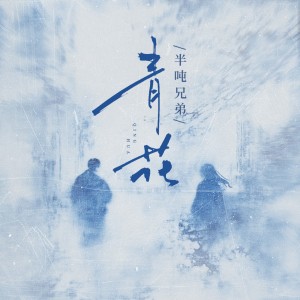 收聽半噸兄弟的青花(DJ豪大大版) (完整版)歌詞歌曲