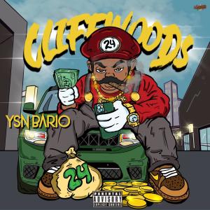Album Cliffwoods (Explicit) from YSN Bario