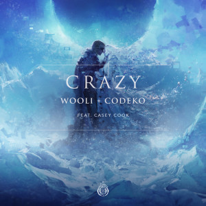 อัลบัม Crazy (feat. Casey Cook) ศิลปิน Codeko