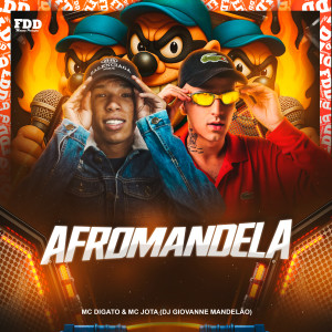 ดาวน์โหลดและฟังเพลง Afromandela (Explicit) พร้อมเนื้อเพลงจาก Dj Giovanne Mandelão