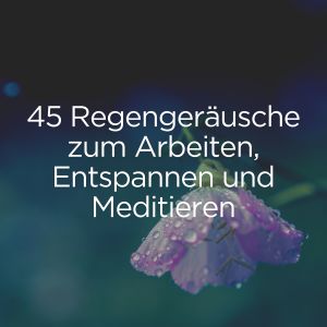 Album 45 Regengeräusche zum Arbeiten, Entspannen und Meditieren from Verschiedene Interpreten