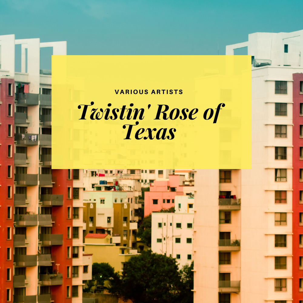 Twistin' Rose of Texas