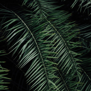 Listen to Deep Rest song with lyrics from Yoga Music