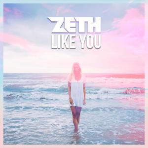Album Like You from Zeth