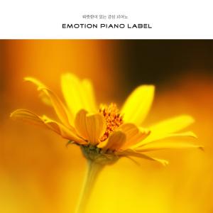 Album Emotional Piano With Warmth from Various Artists