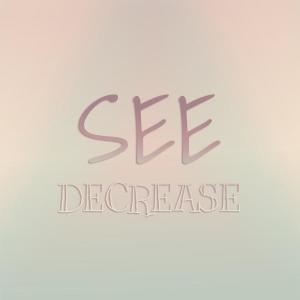 Various的专辑See Decrease