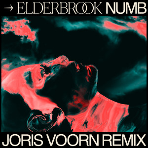 收聽Elderbrook的Numb (Joris Voorn Remix)歌詞歌曲