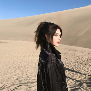 王有道的专辑努力工作吧