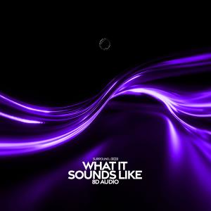 Album what it sounds like (8D Audio) from surround.