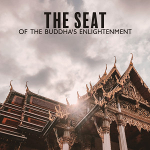 Album The Seat of the Buddha's Enlightenment (Buddhist Temple Meditation Music, Paths To Inner Freedom and Outer Peace) from Daily Meditation Zone