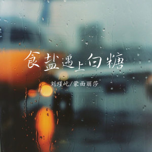 Album 食盐遇上白糖 from 