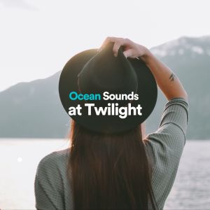 Ocean Sounds at Twilight dari Ocean Live