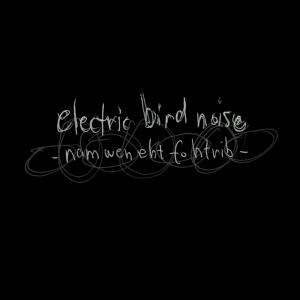 Listen to Nam Wen eht fo Htrib song with lyrics from Electric Bird Noise