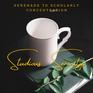 Jazz Piano Essentials的專輯Studious Serenity: Piano Soundscapes for Focused Learning
