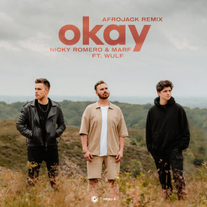 Dengarkan lagu Okay (Extended Afrojack Remix) nyanyian Nicky Romero dengan lirik