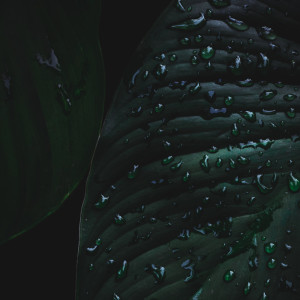 Listen to Carry On song with lyrics from Rain Sounds