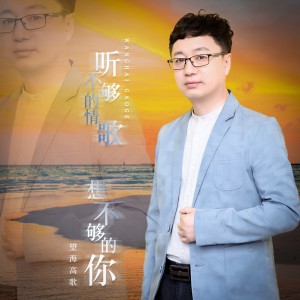 收听望海高歌的听不够的情歌想不够的你 (伴奏)歌词歌曲