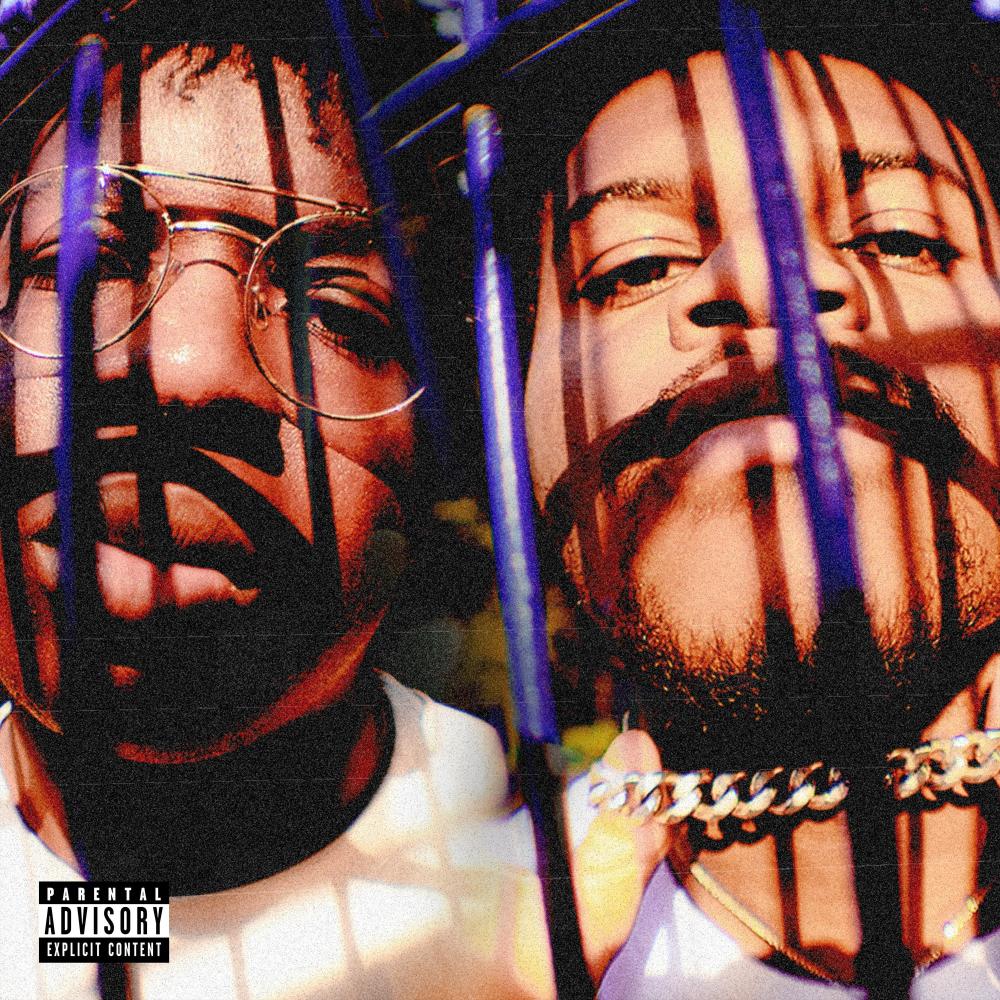COMPANY (Explicit)
