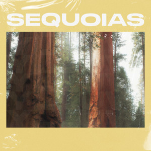 Album Sequoias oleh Ylluw