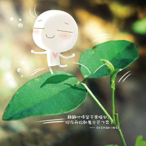 十一月