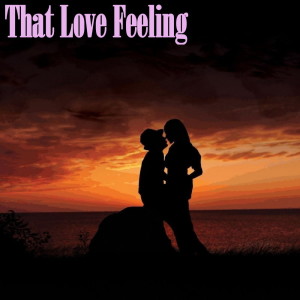 Various Artists的专辑That Love Feeling