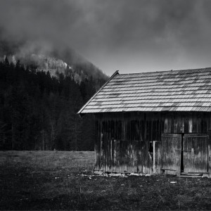 Listen to Come Back Home song with lyrics from Leon Gomez