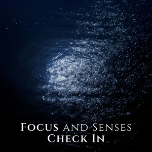 Focus and Senses Check In (Calming Bedtime Adventure, Deep Sleep Floating, Nightly Rejuvenation)