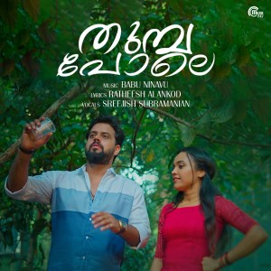 Listen to Thumba Pole (From "Thumba Pole") song with lyrics from Sreejish Subramanian