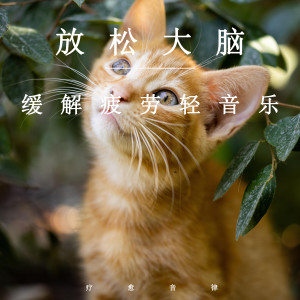 Dengarkan lagu 大脑舒缓压力 nyanyian 疗愈音律 dengan lirik