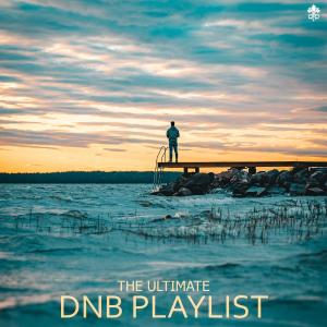 Album The Ultimate DnB from Various
