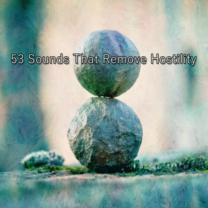 53 Sounds That Remove Hostility