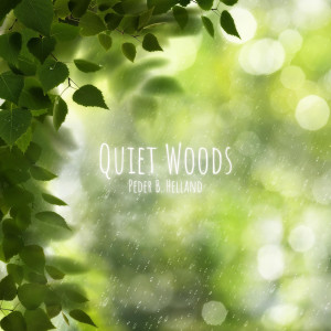 Album Quiet Woods from Peder B. Helland