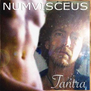 收聽Numvisceus的Under the Clouds歌詞歌曲