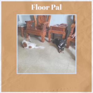 Various Artists的专辑Floor Pal