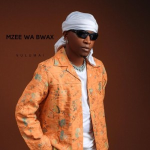 Album Vulumai from Mzee wa Bwax