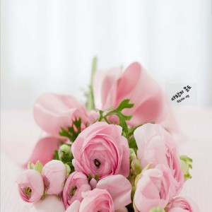 ดาวน์โหลดและฟังเพลง 연 พร้อมเนื้อเพลงจาก 도로시의 연