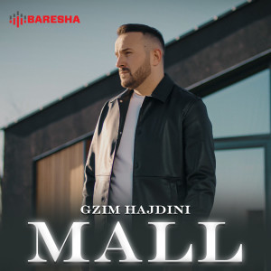 Listen to MALL song with lyrics from Gzim Hajdini