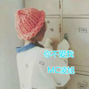 Album 你不爱我 from MC凌旭