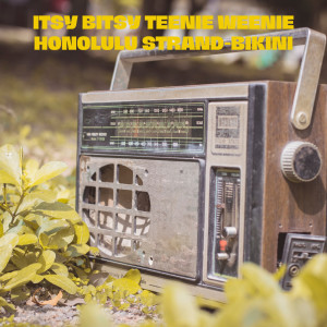 Listen to Ich zähle täglich meine Sorgen song with lyrics from Rudi Scherf