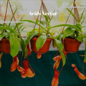 Dengarkan Tight Juntos lagu dari Jero Payet dengan lirik