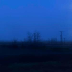 收聽Coldy的Bloom歌詞歌曲