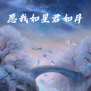 Album 愿我如星君如月 from 