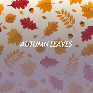 Listen to Autumn Leaves song with lyrics from Doris Day