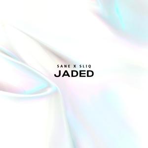 Listen to Jaded song with lyrics from Sane