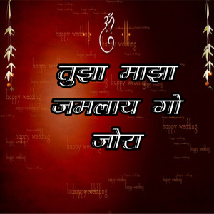 Album Tujha Majha Jamlay Go Jora from Lilesh Ruke