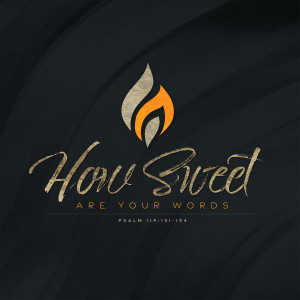 收听New City Collective的How Sweet Are Your Words (Psalm 119:101-104)歌词歌曲